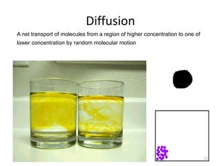 Basics of Contaminant Transport in Aquifers (Lecture) | PPT