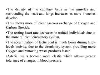 •The density of the capillary beds in the muscles and
surrounding the heart and lungs increases as more branches
develop.
•This allows more efficient gaseous exchange of Oxygen and
Carbon Dioxide.
•The resting heart rate decreases in trained individuals due to
the more efficient circulatory system.
•The accumulation of lactic acid is much lower during high-
levels activity, due to the circulatory system providing more
Oxygen and removing waste products faster.
•Arterial walls become more elastic which allows greater
tolerance of changes in blood pressure.
 