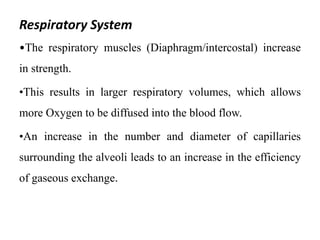 Respiratory System
•The respiratory muscles (Diaphragm/intercostal) increase
in strength.
•This results in larger respiratory volumes, which allows
more Oxygen to be diffused into the blood flow.
•An increase in the number and diameter of capillaries
surrounding the alveoli leads to an increase in the efficiency
of gaseous exchange.
 