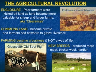 THE AGRICULTURAL REVOLUTION
ENCLOSURE - Poor farmers were
kicked off land as land became more
valuable for sheep and larger farms.
aka ‘Clearances’
COMMONS LAND - became private
and farmers had nowhere to graze livestock.
FARMING became a business & NOT a way of life.
NEW BREEDS - produced more
meat, thicker wool, hardier.
Gloucester Old Spot Pig
Enclosure produced labourers
Commons Lands
 