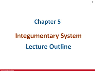 © 2019 McGraw-Hill Education
1
Chapter 5
Integumentary System
Lecture Outline
 
