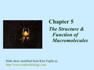 [object Object],[object Object],Slide show modified from Kim Foglia @  http://www.explorebiology.com 