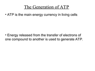 The Generation of ATP
• ATP is the main energy currency in living cells
• Energy released from the transfer of electrons of
one compound to another is used to generate ATP.
 