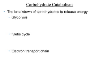 Carbohydrate Catabolism
• The breakdown of carbohydrates to release energy
• Glycolysis
• Krebs cycle
• Electron transport chain
 