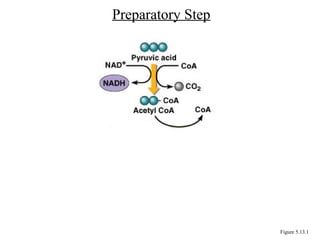 Preparatory Step
Figure 5.13.1
 