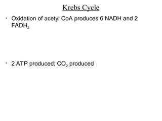 Krebs Cycle
• Oxidation of acetyl CoA produces 6 NADH and 2
FADH2
• 2 ATP produced; CO2 produced
 