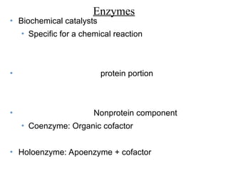 Enzymes
• Biochemical catalysts
• Specific for a chemical reaction
• protein portion
• Nonprotein component
• Coenzyme: Organic cofactor
• Holoenzyme: Apoenzyme + cofactor
 