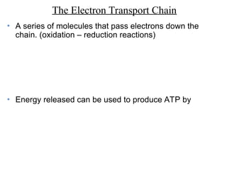 • A series of molecules that pass electrons down the
chain. (oxidation – reduction reactions)
• Energy released can be used to produce ATP by
The Electron Transport Chain
 