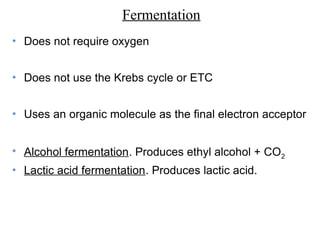 • Does not require oxygen
• Does not use the Krebs cycle or ETC
• Uses an organic molecule as the final electron acceptor
• Alcohol fermentation. Produces ethyl alcohol + CO2
• Lactic acid fermentation. Produces lactic acid.
Fermentation
 