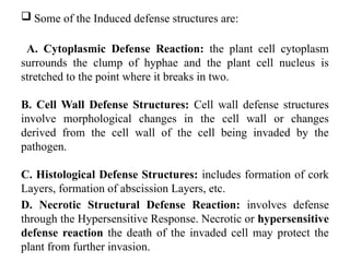 Physical barriers of plant largely.pptx
