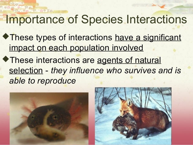 Explain The Importance Of Natural Selection Explain The Importance Of Natural Selection