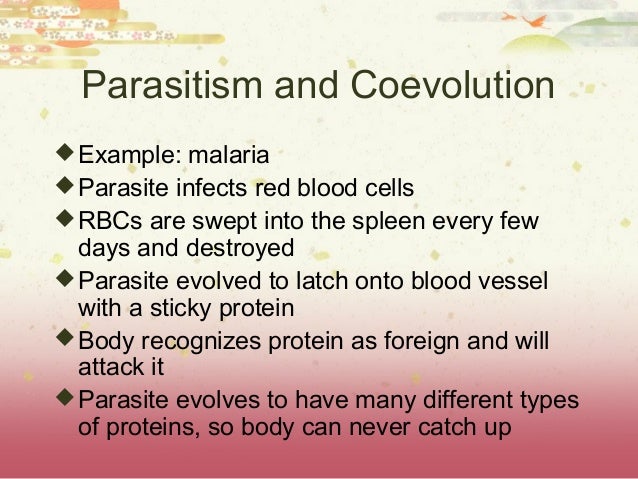 Ap Environmental Science Natural Selection Ap Environmental Science Natural Selection