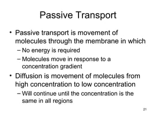 21
Passive Transport
• Passive transport is movement of
molecules through the membrane in which
– No energy is required
– Molecules move in response to a
concentration gradient
• Diffusion is movement of molecules from
high concentration to low concentration
– Will continue until the concentration is the
same in all regions
 