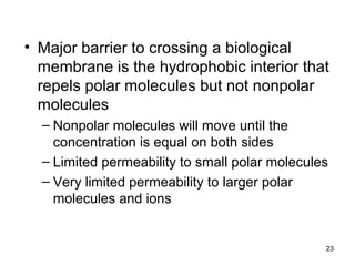 23
• Major barrier to crossing a biological
membrane is the hydrophobic interior that
repels polar molecules but not nonpolar
molecules
– Nonpolar molecules will move until the
concentration is equal on both sides
– Limited permeability to small polar molecules
– Very limited permeability to larger polar
molecules and ions
 