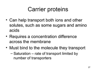 27
Carrier proteins
• Can help transport both ions and other
solutes, such as some sugars and amino
acids
• Requires a concentration difference
across the membrane
• Must bind to the molecule they transport
– Saturation – rate of transport limited by
number of transporters
 
