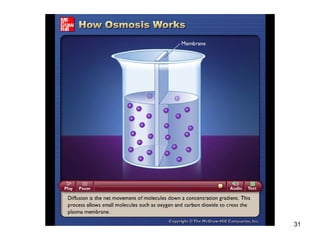 31
Please note that due to differing
operating systems, some animations
will not appear until the presentation is
viewed in Presentation Mode (Slide
Show view). You may see blank slides
in the “Normal” or “Slide Sorter” views.
All animations will appear after viewing
in Presentation Mode and playing each
animation. Most animations will require
the latest version of the Flash Player,
which is available at
http://get.adobe.com/flashplayer.
 