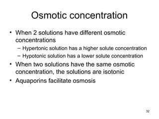 32
Osmotic concentration
• When 2 solutions have different osmotic
concentrations
– Hypertonic solution has a higher solute concentration
– Hypotonic solution has a lower solute concentration
• When two solutions have the same osmotic
concentration, the solutions are isotonic
• Aquaporins facilitate osmosis
 