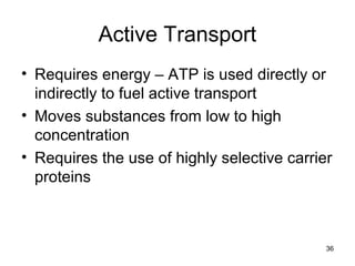 36
Active Transport
• Requires energy – ATP is used directly or
indirectly to fuel active transport
• Moves substances from low to high
concentration
• Requires the use of highly selective carrier
proteins
 