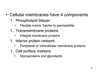 6
• Cellular membranes have 4 components
1. Phospholipid bilayer
• Flexible matrix, barrier to permeability
1. Transmembrane proteins
• Integral membrane proteins
1. Interior protein network
• Peripheral or Intracellular membrane proteins
1. Cell surface markers
• Glycoproteins and glycolipids
 