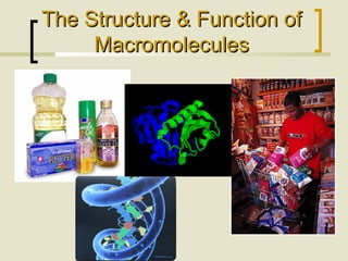The Structure & Function ofThe Structure & Function of
MacromoleculesMacromolecules
 