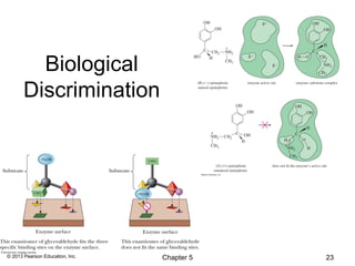 Biological
       Discrimination




© 2013 Pearson Education, Inc.   Chapter 5   23
 