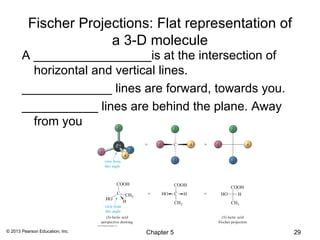 Fischer Projections: Flat representation of
                       a 3-D molecule
       A _________________is at the intersection of
         horizontal and vertical lines.
       _____________ lines are forward, towards you.
       ___________ lines are behind the plane. Away
         from you




© 2013 Pearson Education, Inc.   Chapter 5              29
 