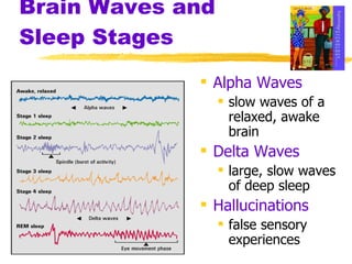 Brain Waves and Sleep Stages Alpha Waves slow waves of a relaxed, awake brain Delta Waves large, slow waves of deep sleep  Hallucinations false sensory experiences  