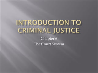 Chapter 6
The Court System
 