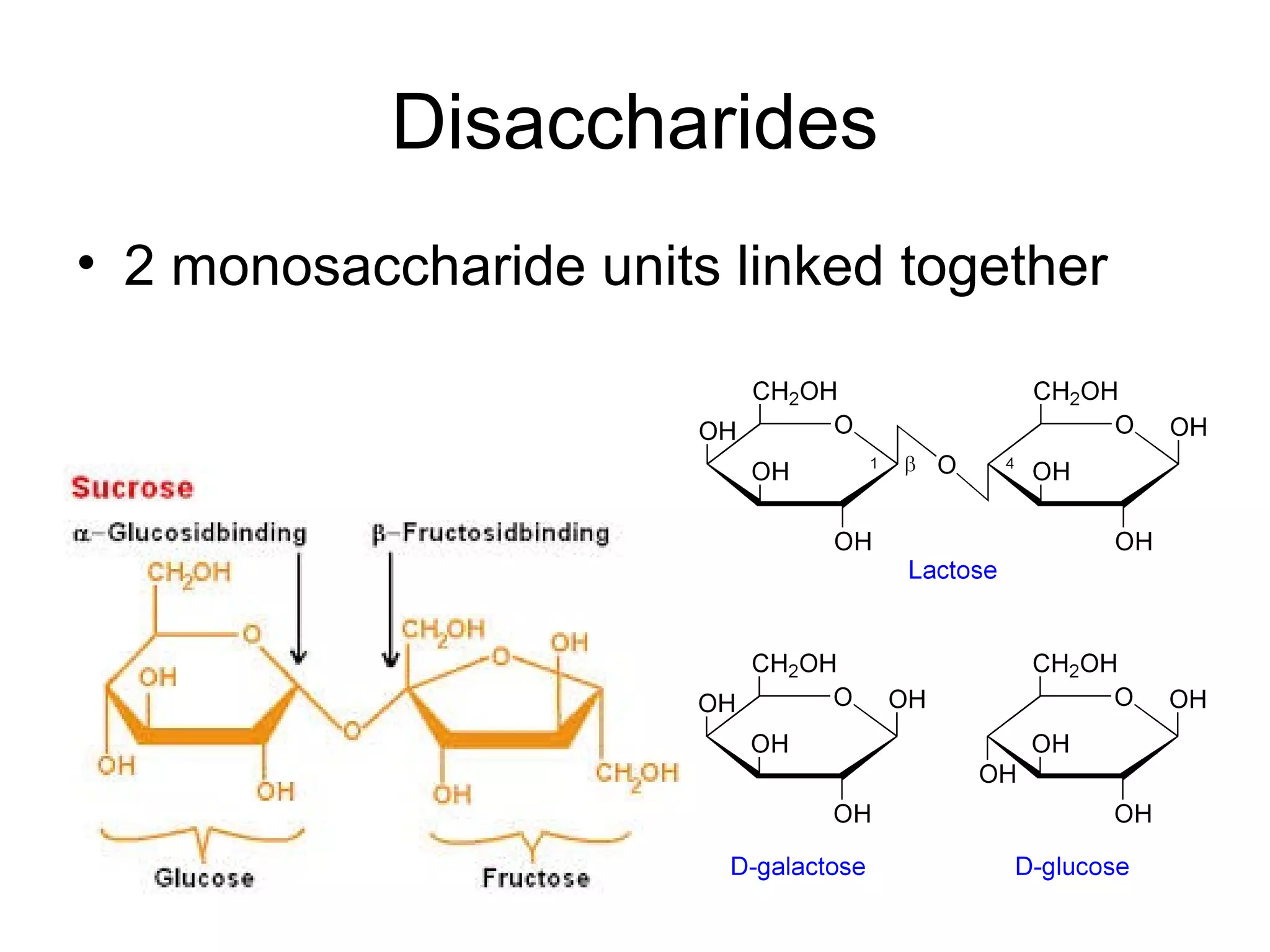 Disaccharides
• 2 monosaccharide units linked together
 