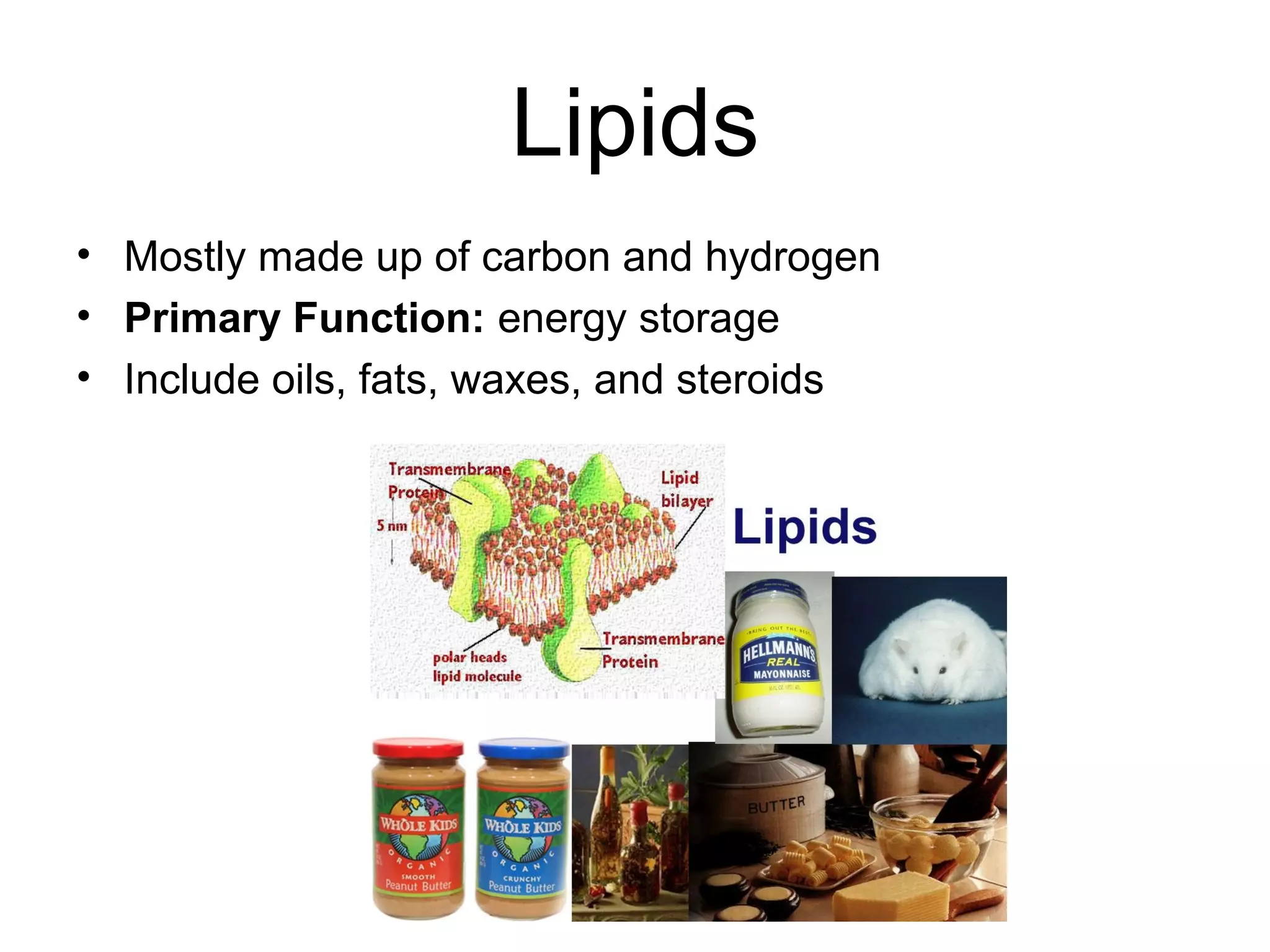 Lipids
• Mostly made up of carbon and hydrogen
• Primary Function: energy storage
• Include oils, fats, waxes, and steroids
 