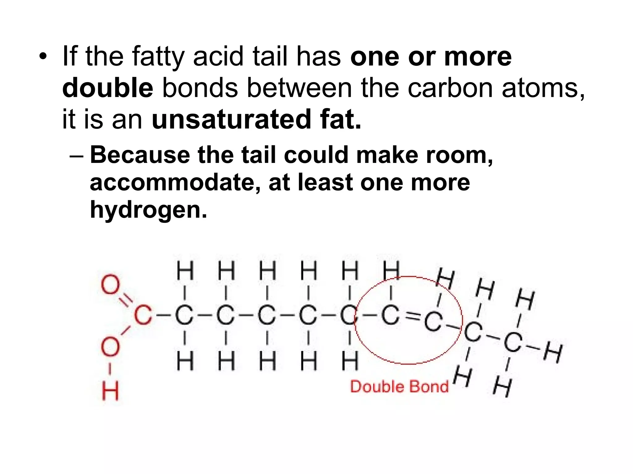 • If the fatty acid tail has one or more
double bonds between the carbon atoms,
it is an unsaturated fat.
– Because the tail could make room,
accommodate, at least one more
hydrogen.
 