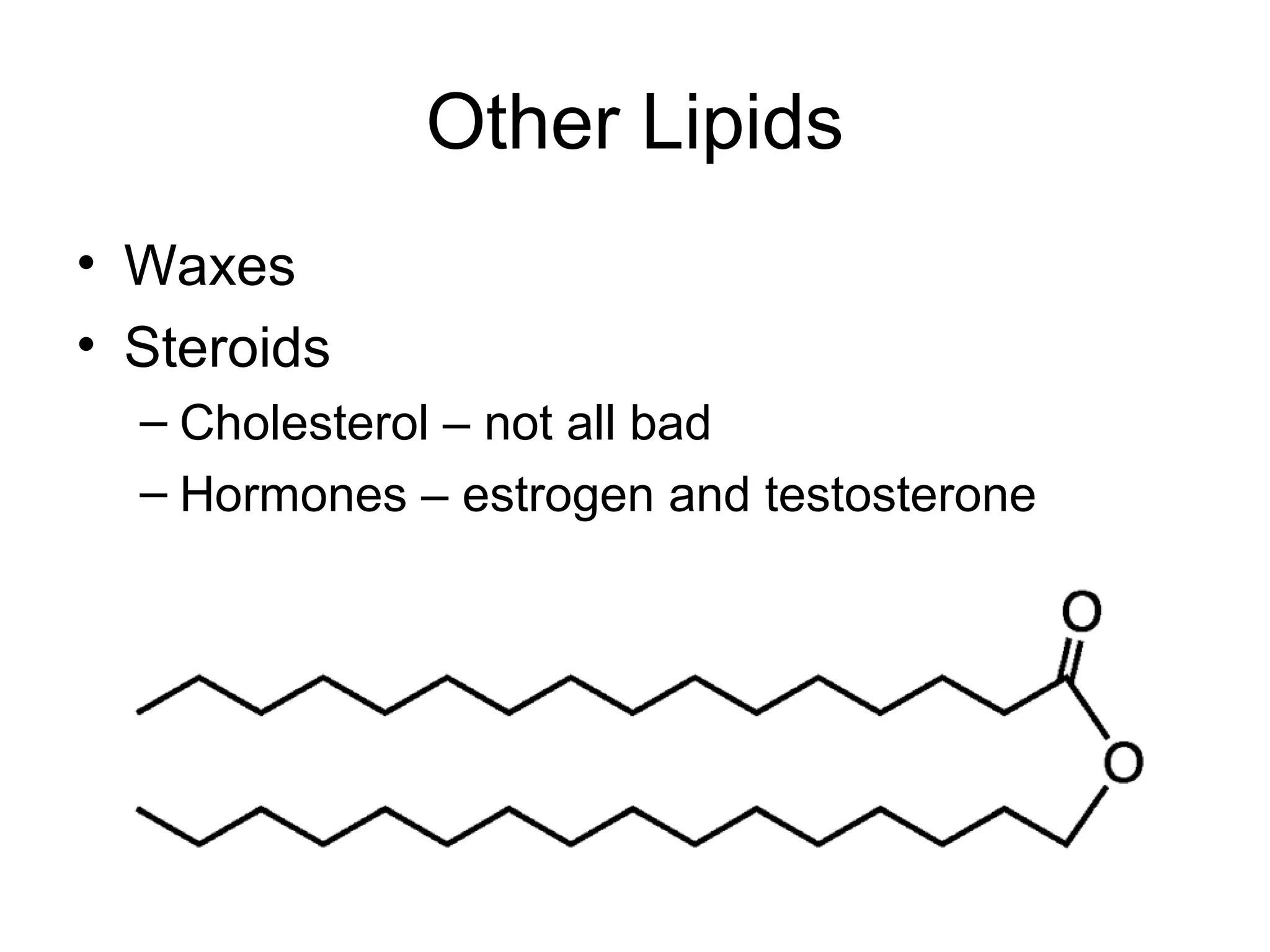 Other Lipids
• Waxes
• Steroids
– Cholesterol – not all bad
– Hormones – estrogen and testosterone
 