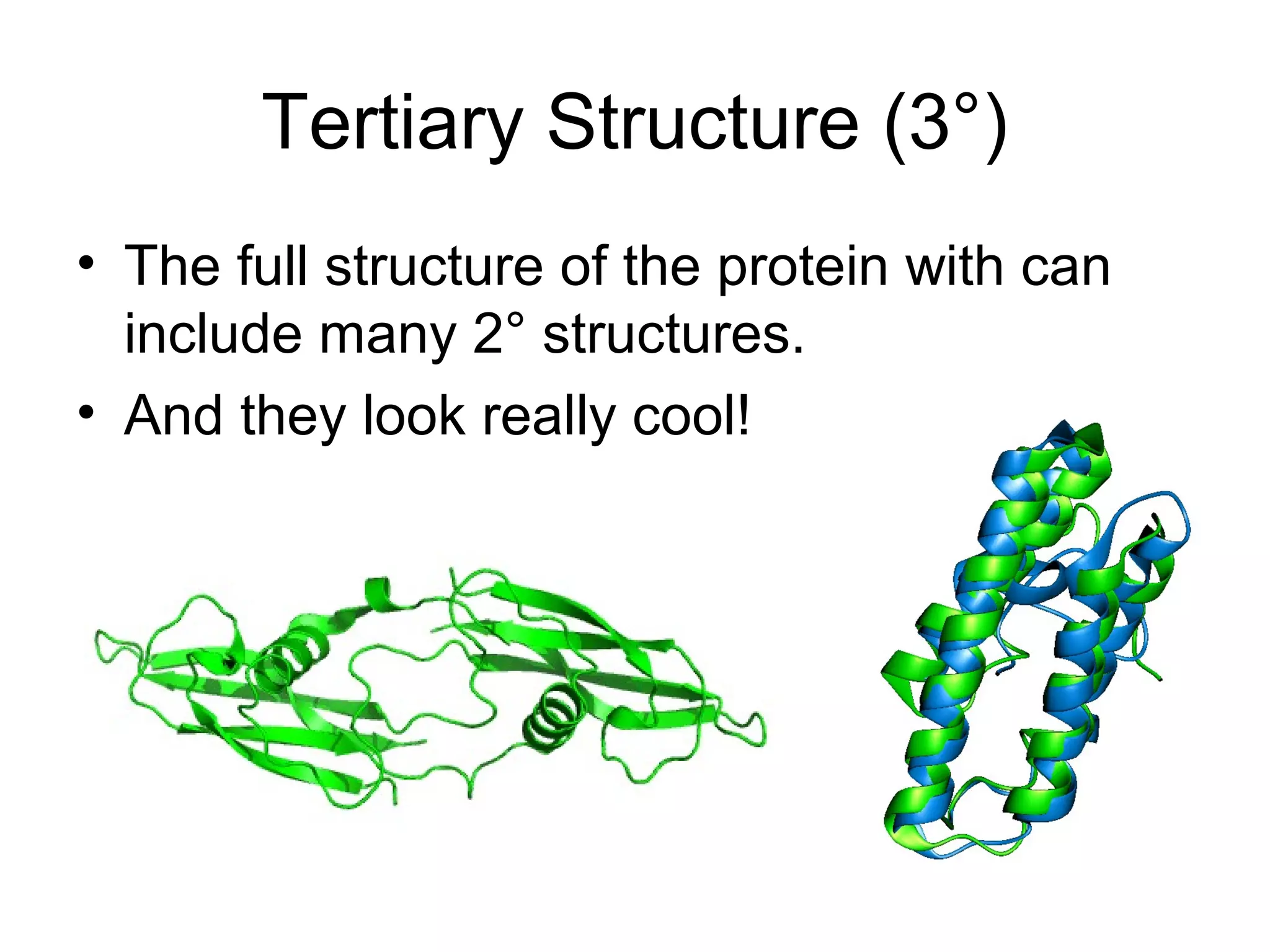 Tertiary Structure (3°)
• The full structure of the protein with can
include many 2° structures.
• And they look really cool!
 