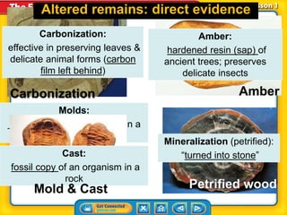 Ch. 6.1 Fossils & Geologic Time | PPT