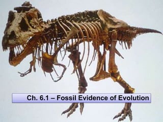 Ch. 6.1 – Fossil Evidence of Evolution
 