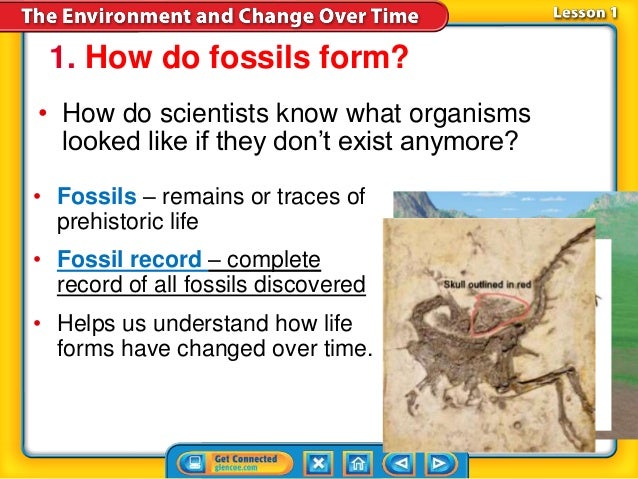 ch 6 1 fossils geologic time where do fossils form