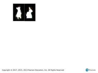 Copyright © 2017, 2015, 2013 Pearson Education, Inc. All Rights Reserved
 