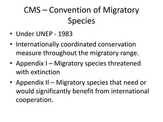 CMS – Convention of Migratory
Species
• Under UNEP - 1983
• Internationally coordinated conservation
measure throughout th...