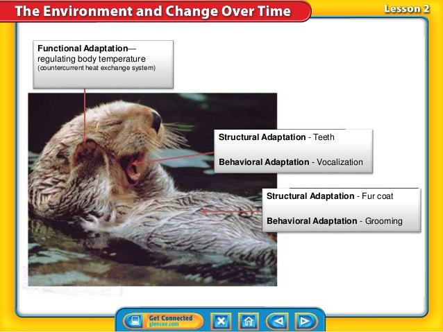 An Adaptation Is The Cause Of Natural Selection An Adaptation Is The Cause Of Natural Selection
