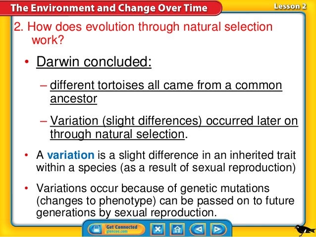 How Does Natural Selection Result In Adaptations In A Species How Does Natural Selection Result In Adaptations In A Species