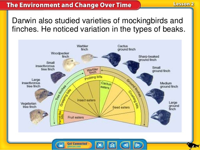 Can Natural Selection Occur Without Evolution Can Natural Selection Occur Without Evolution