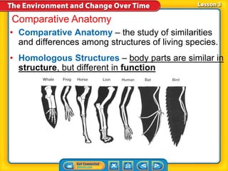 Ch. 6.3 Evidence of Evolution | PPTX