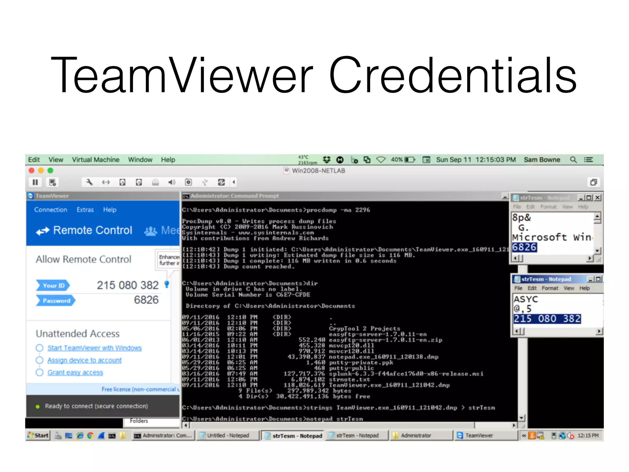 TeamViewer Credentials
 