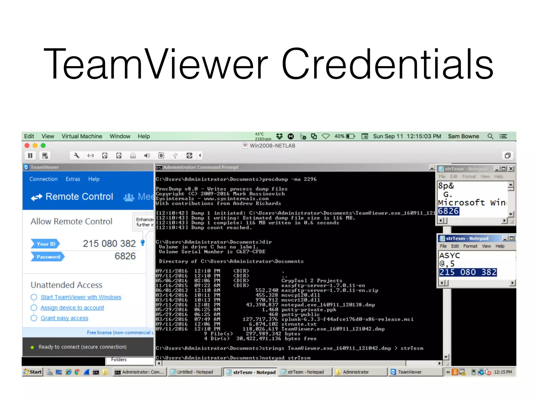 TeamViewer Credentials
 