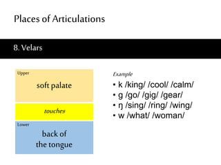 English Phonology - 01-Intro & Organs of Speech | PPTX