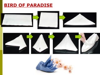 BIRD OF PARADISE
 