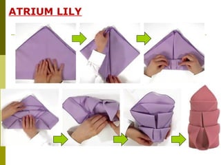 ATRIUM LILY
 