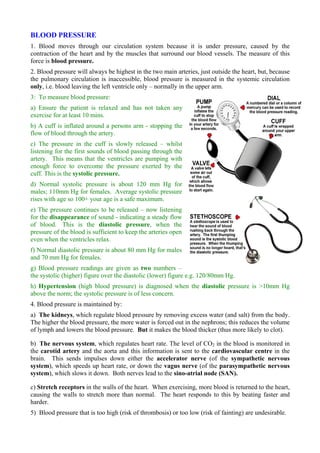 BLOOD PRESSURE
1. Blood moves through our circulation system because it is under pressure, caused by the
contraction of the heart and by the muscles that surround our blood vessels. The measure of this
force is blood pressure.
2. Blood pressure will always be highest in the two main arteries, just outside the heart, but, because
the pulmonary circulation is inaccessible, blood pressure is measured in the systemic circulation
only, i.e. blood leaving the left ventricle only – normally in the upper arm.
3: To measure blood pressure:
a) Ensure the patient is relaxed and has not taken any
exercise for at least 10 mins.
b) A cuff is inflated around a persons arm - stopping the
flow of blood through the artery.
c) The pressure in the cuff is slowly released – whilst
listening for the first sounds of blood passing through the
artery. This means that the ventricles are pumping with
enough force to overcome the pressure exerted by the
cuff. This is the systolic pressure.
d) Normal systolic pressure is about 120 mm Hg for
males; 110mm Hg for females. Average systolic pressure
rises with age so 100+ your age is a safe maximum.
e) The pressure continues to be released – now listening
for the disappearance of sound - indicating a steady flow
of blood. This is the diastolic pressure, when the
pressure of the blood is sufficient to keep the arteries open
even when the ventricles relax.
f) Normal diastolic pressure is about 80 mm Hg for males
and 70 mm Hg for females.
g) Blood pressure readings are given as two numbers –
the systolic (higher) figure over the diastolic (lower) figure e.g. 120/80mm Hg.
h) Hypertension (high blood pressure) is diagnosed when the diastolic pressure is >10mm Hg
above the norm; the systolic pressure is of less concern.
4. Blood pressure is maintained by:
a) The kidneys, which regulate blood pressure by removing excess water (and salt) from the body.
The higher the blood pressure, the more water is forced out in the nephrons; this reduces the volume
of lymph and lowers the blood pressure. But it makes the blood thicker (thus more likely to clot).
b) The nervous system, which regulates heart rate. The level of CO2 in the blood is monitored in
the carotid artery and the aorta and this information is sent to the cardiovascular centre in the
brain. This sends impulses down either the accelerator nerve (of the sympathetic nervous
system), which speeds up heart rate, or down the vagus nerve (of the parasympathetic nervous
system), which slows it down. Both nerves lead to the sino-atrial node (SAN).
c) Stretch receptors in the walls of the heart. When exercising, more blood is returned to the heart,
causing the walls to stretch more than normal. The heart responds to this by beating faster and
harder.
5) Blood pressure that is too high (risk of thrombosis) or too low (risk of fainting) are undesirable.
 