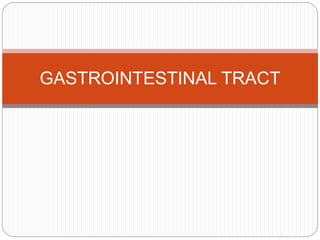 GASTROINTESTINAL TRACT
 