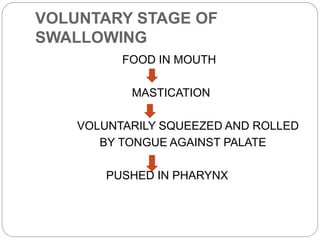VOLUNTARY STAGE OF
SWALLOWING
FOOD IN MOUTH
MASTICATION
VOLUNTARILY SQUEEZED AND ROLLED
BY TONGUE AGAINST PALATE
PUSHED IN PHARYNX
 